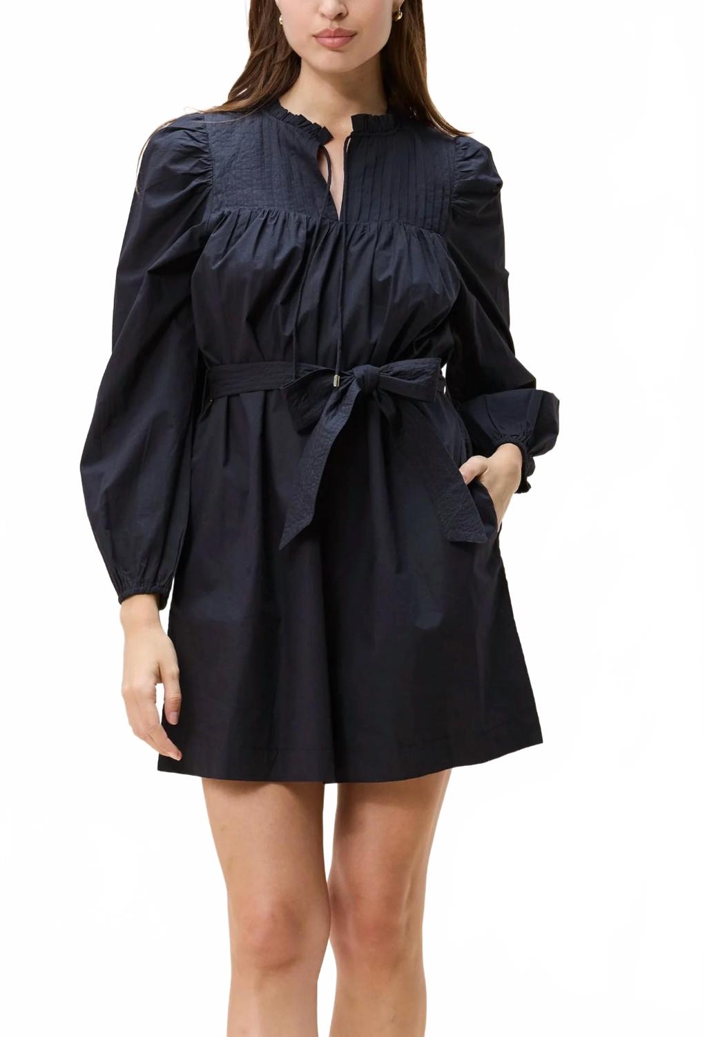 Ivana Mini Dress In Black