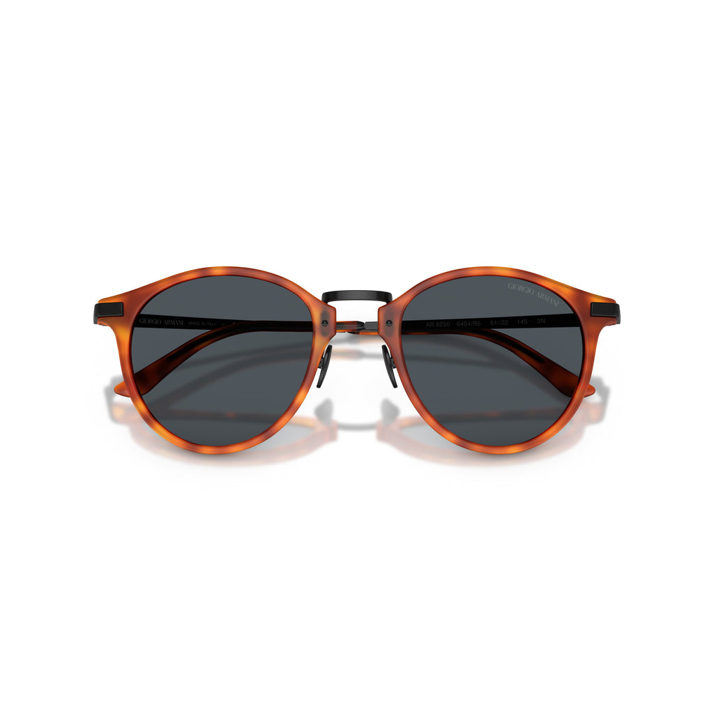 0Ar8250 Tortoiseshell Acetate Sunglasses