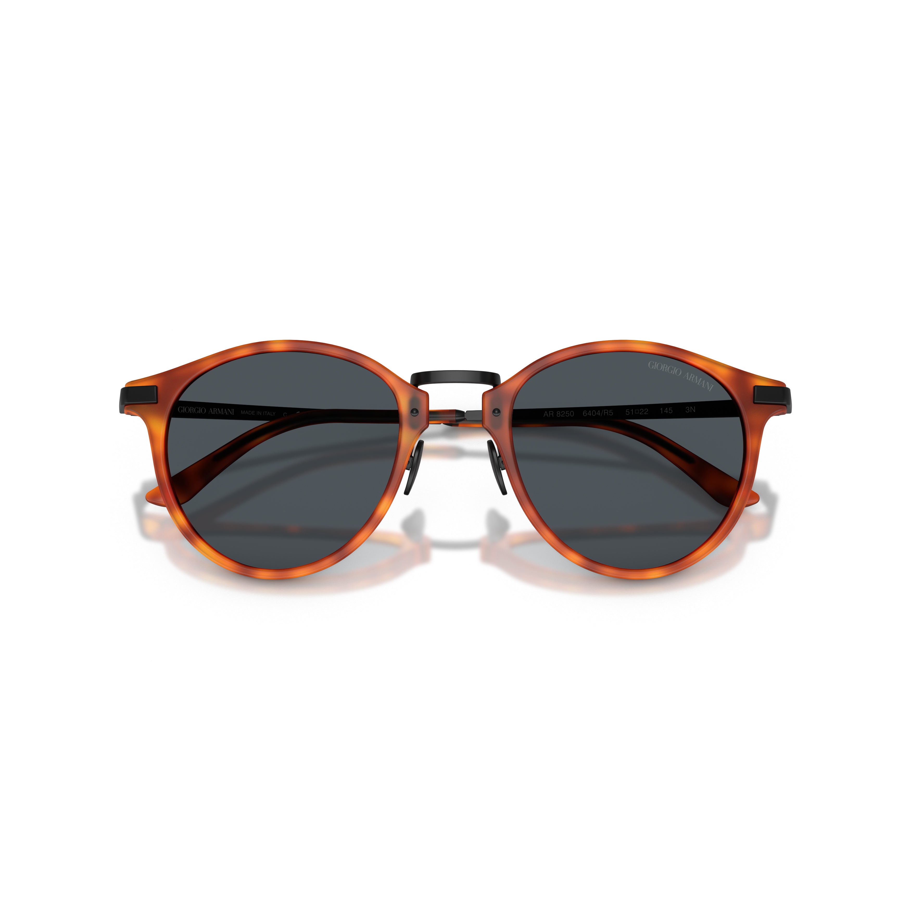 0Ar8250 Tortoiseshell Acetate Sunglasses