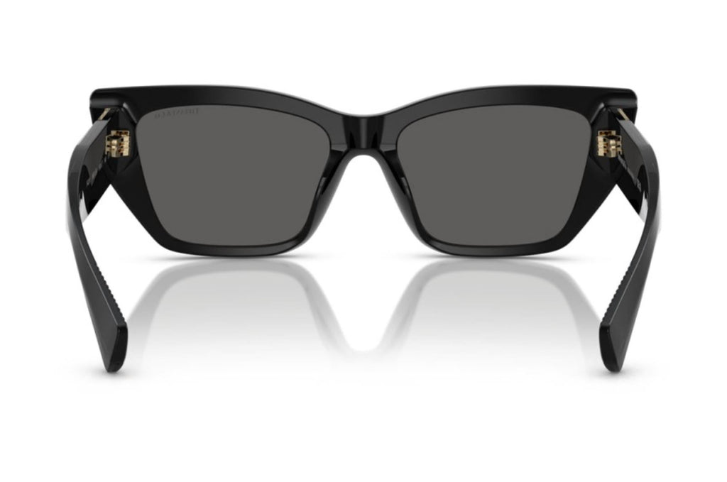 Women's Cat-Eye Sunglasses In Dark Grey