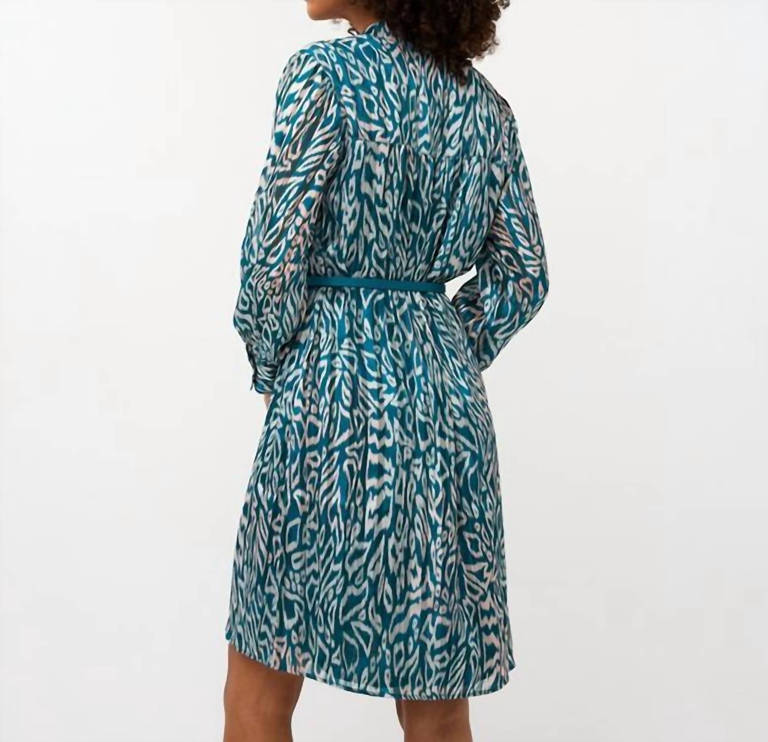 Long Sleeve Printed Dress In Teal