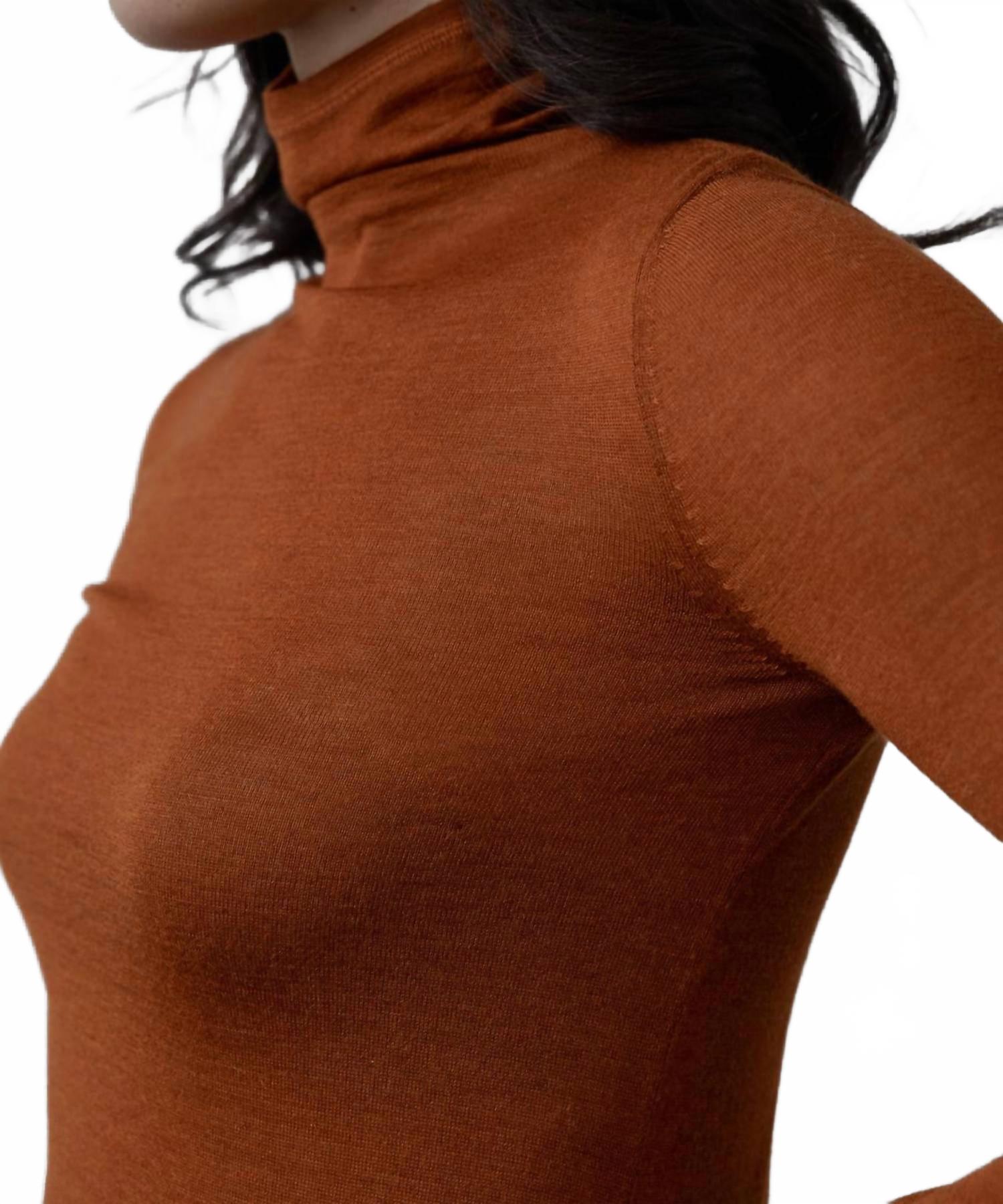 Turtle Neck Pullover In Rust