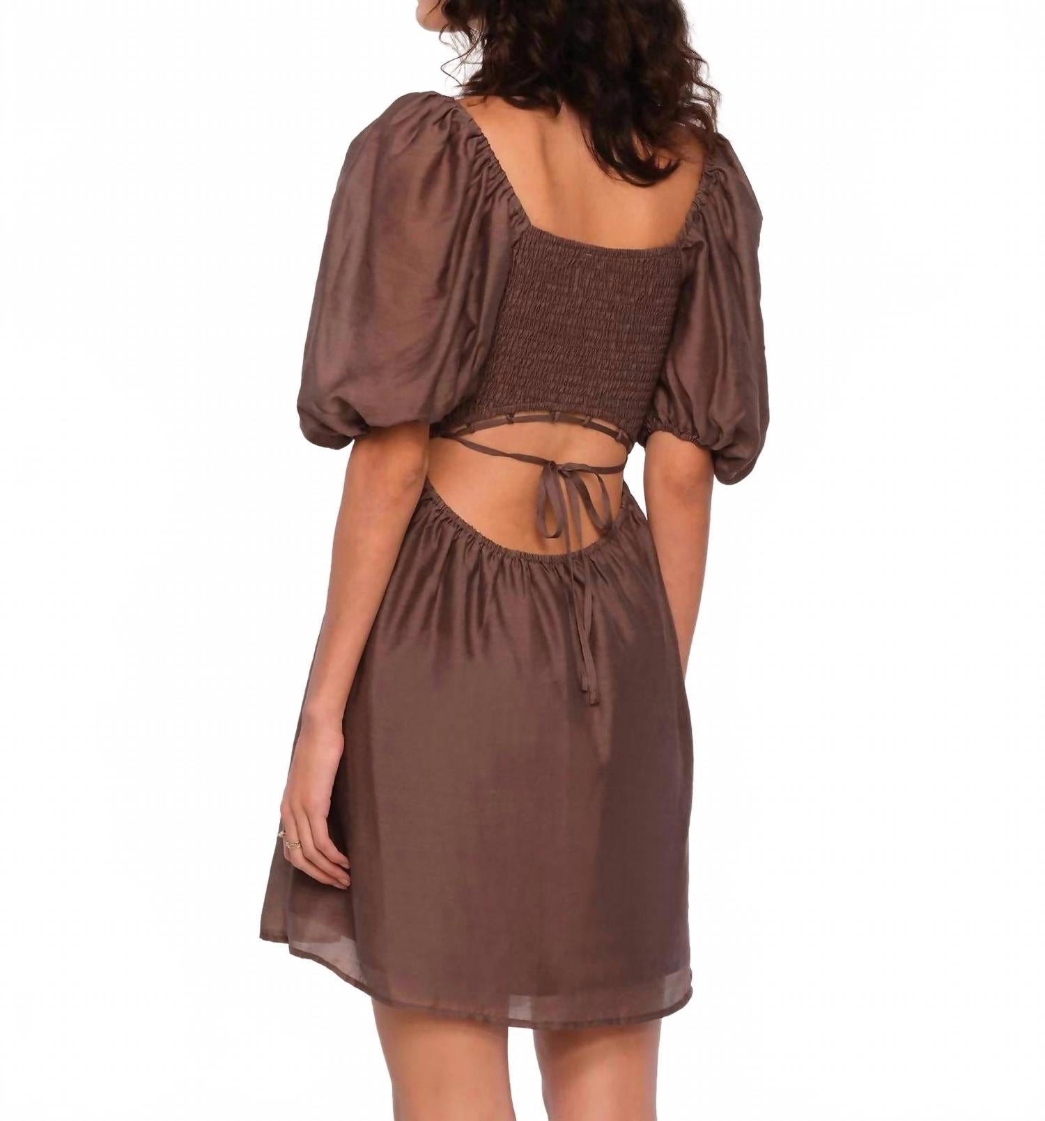 Orion Mini Dress In Espresso