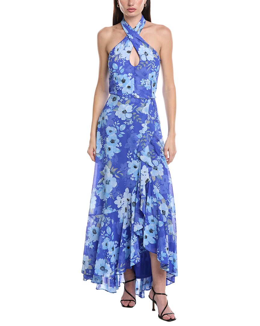 Maison Tara Printed Chiffon Crepe Maxi Dress