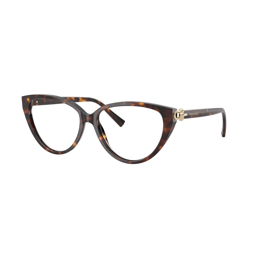 Cat-Eye Sunglasses With Tortoiseshell Frame And Gold Accents