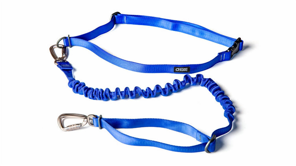 Stunt Runner Hands-Free Leash In Blue