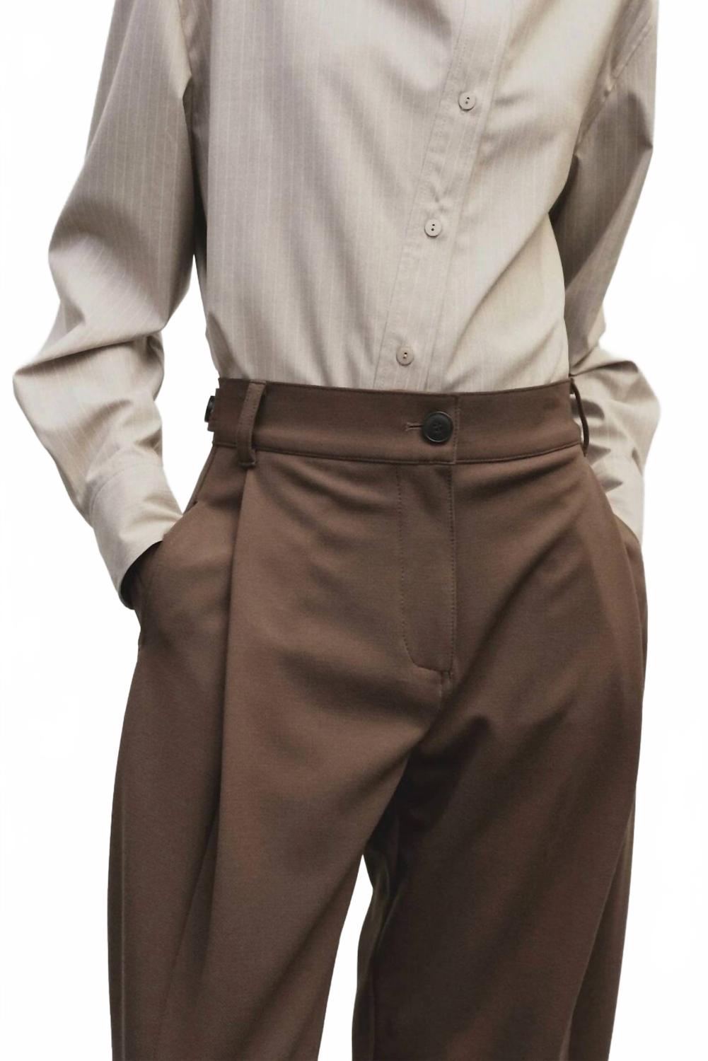 Pleated Barrel Leg Pants In Brown
