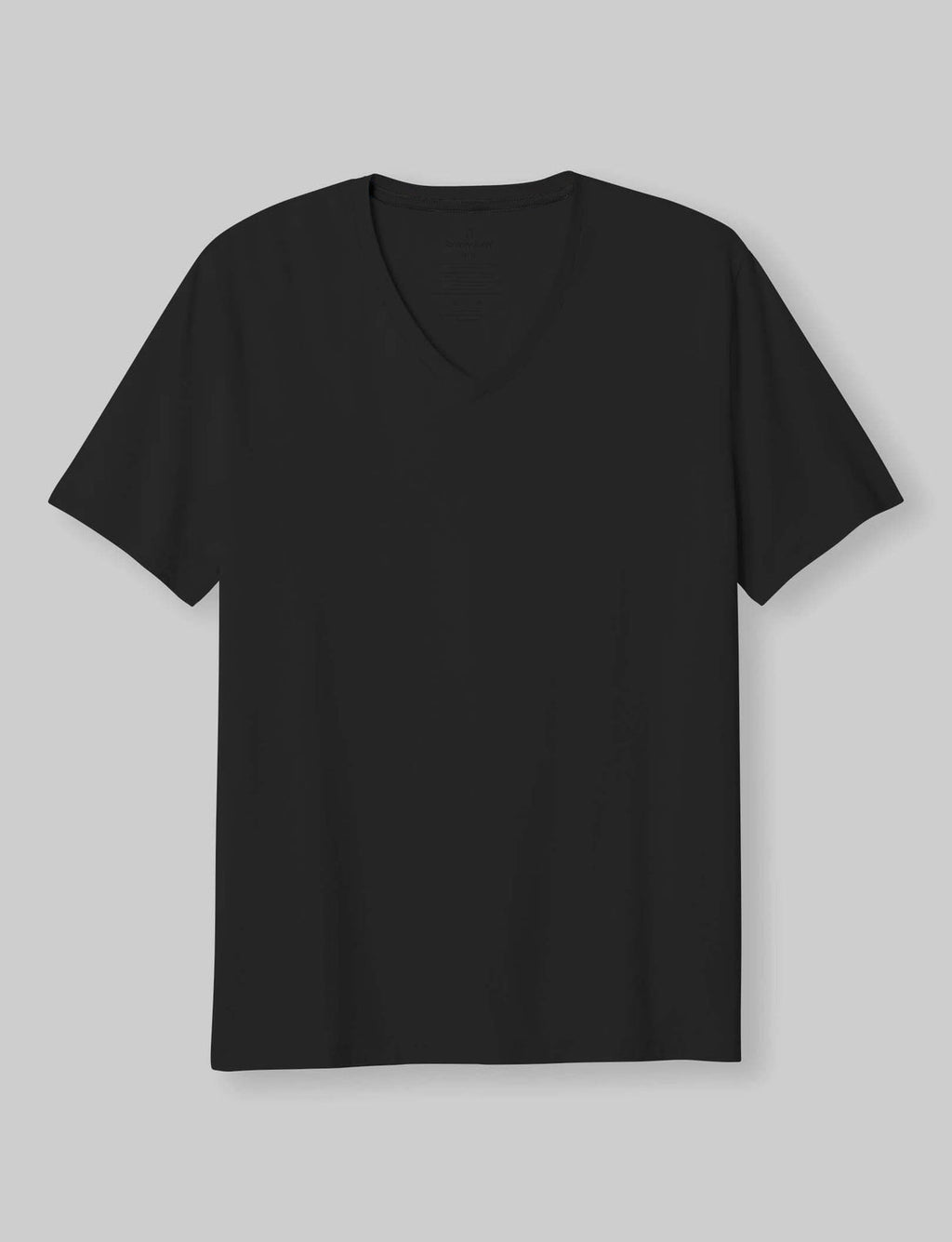 Men's Second Skin V-Neck T-Shirt