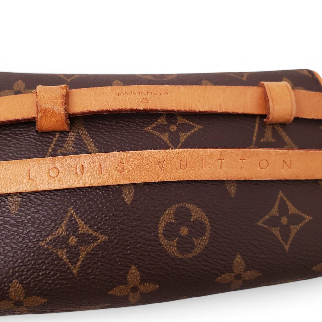 LOUIS VUITTON MONOGRAM BELT BAG