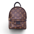 LOUIS VUITTON MONOGRAM PALM SPINGS MINI BACKPACK