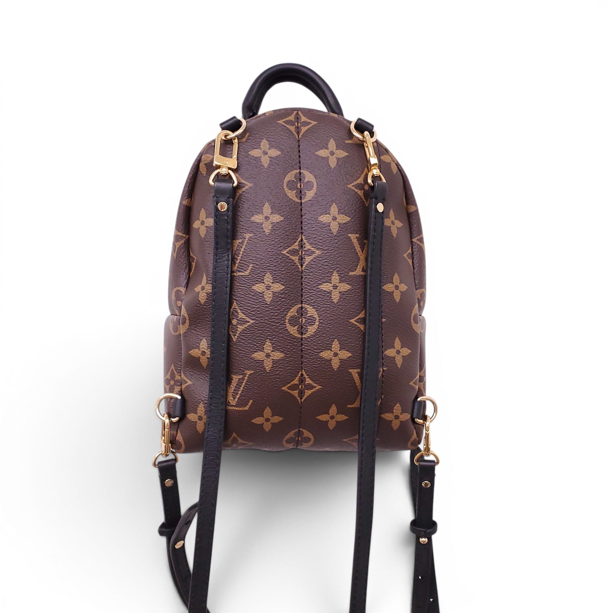 LOUIS VUITTON MONOGRAM PALM SPINGS MINI BACKPACK
