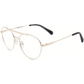 Polaroid Unisex 55 mm Gold Opticals