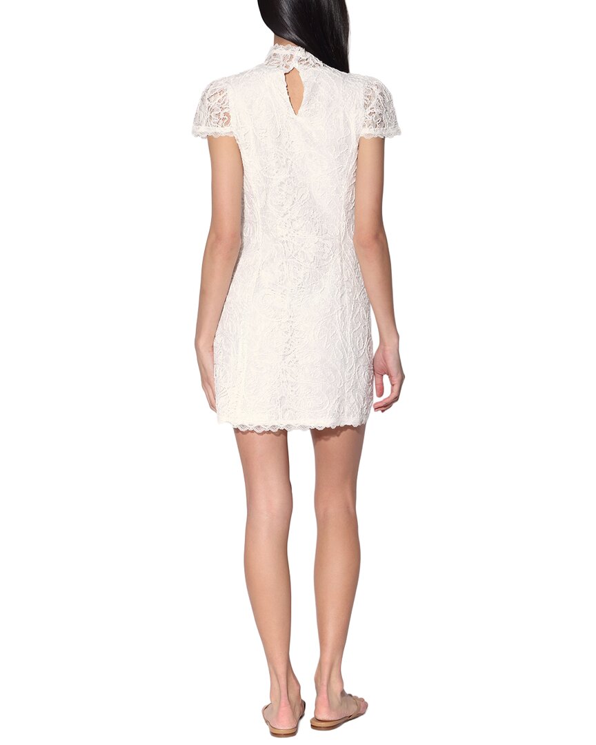 Walter Baker Ariana Dress