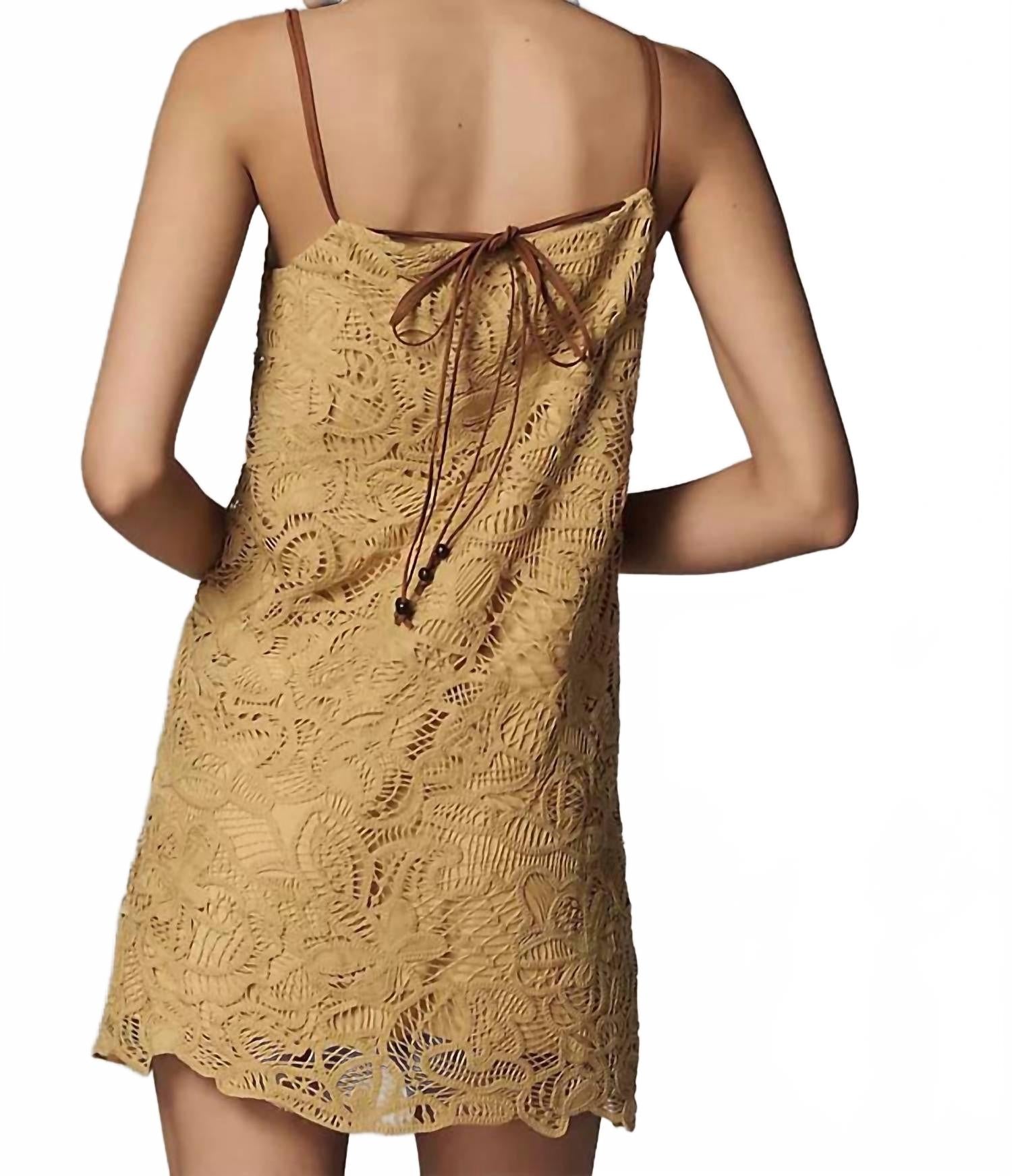 Tansy Tunic Mini Dress In Dijon
