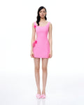 Aurelius 3D Floral Mini Dress - Pink