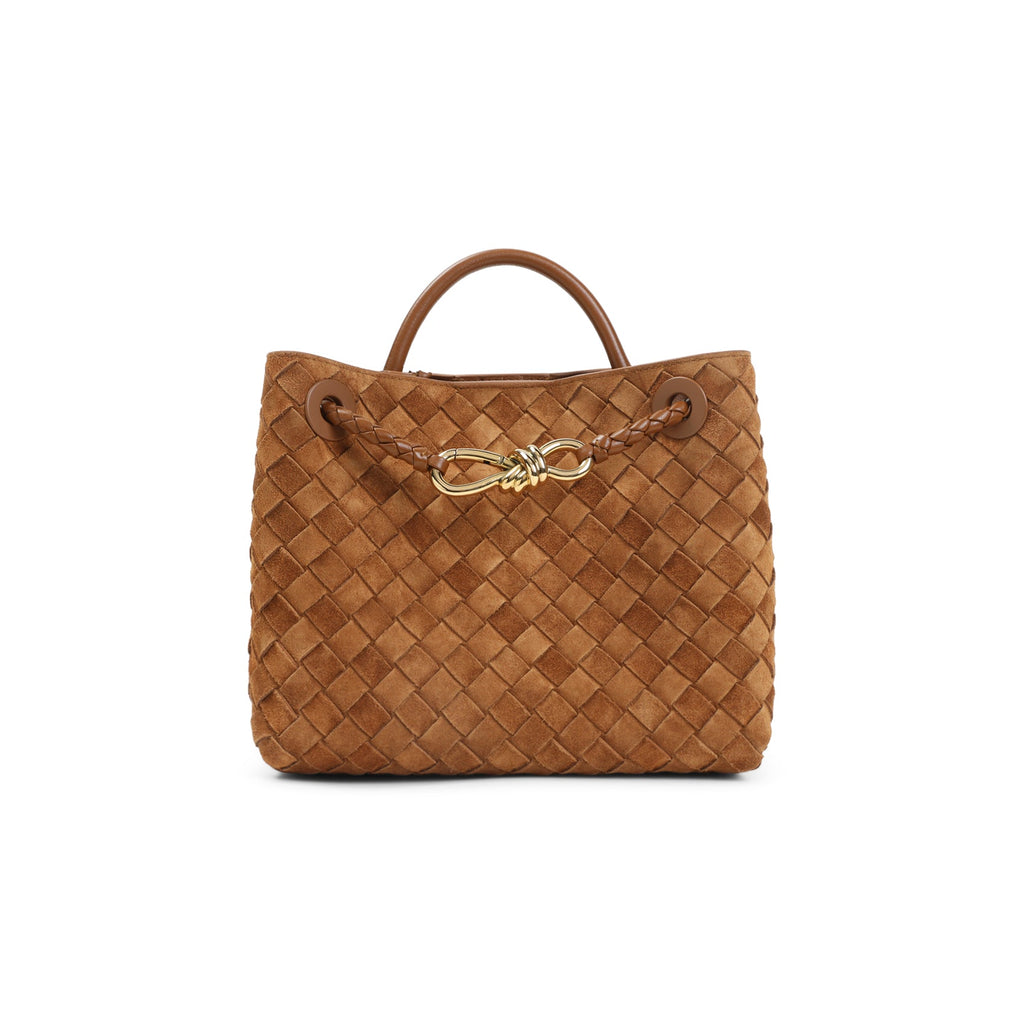 Bottega Veneta Small Andiamo Bag Women