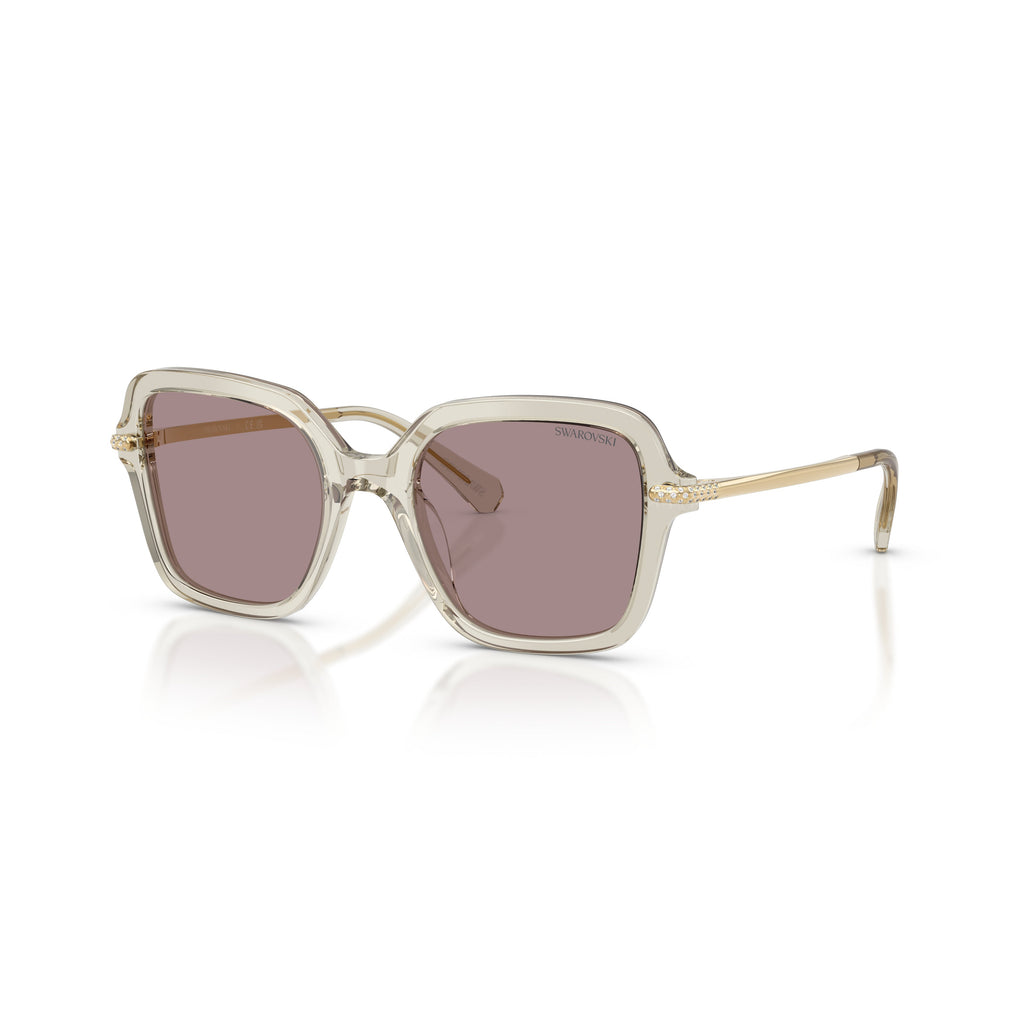 0Sk6040 Square Acetate Sunglasses with Translucent Beige Frame