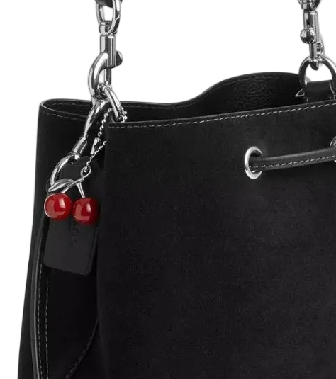 NWT Coach Rowan Bucket Bag With Cherry Charm