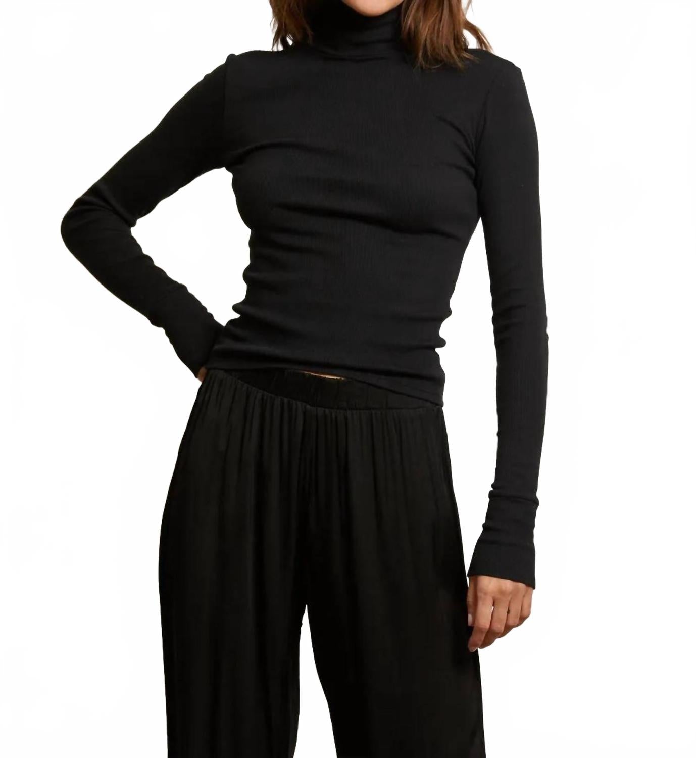 Hayden Luxe Rib Turtleneck Sweater In True Black