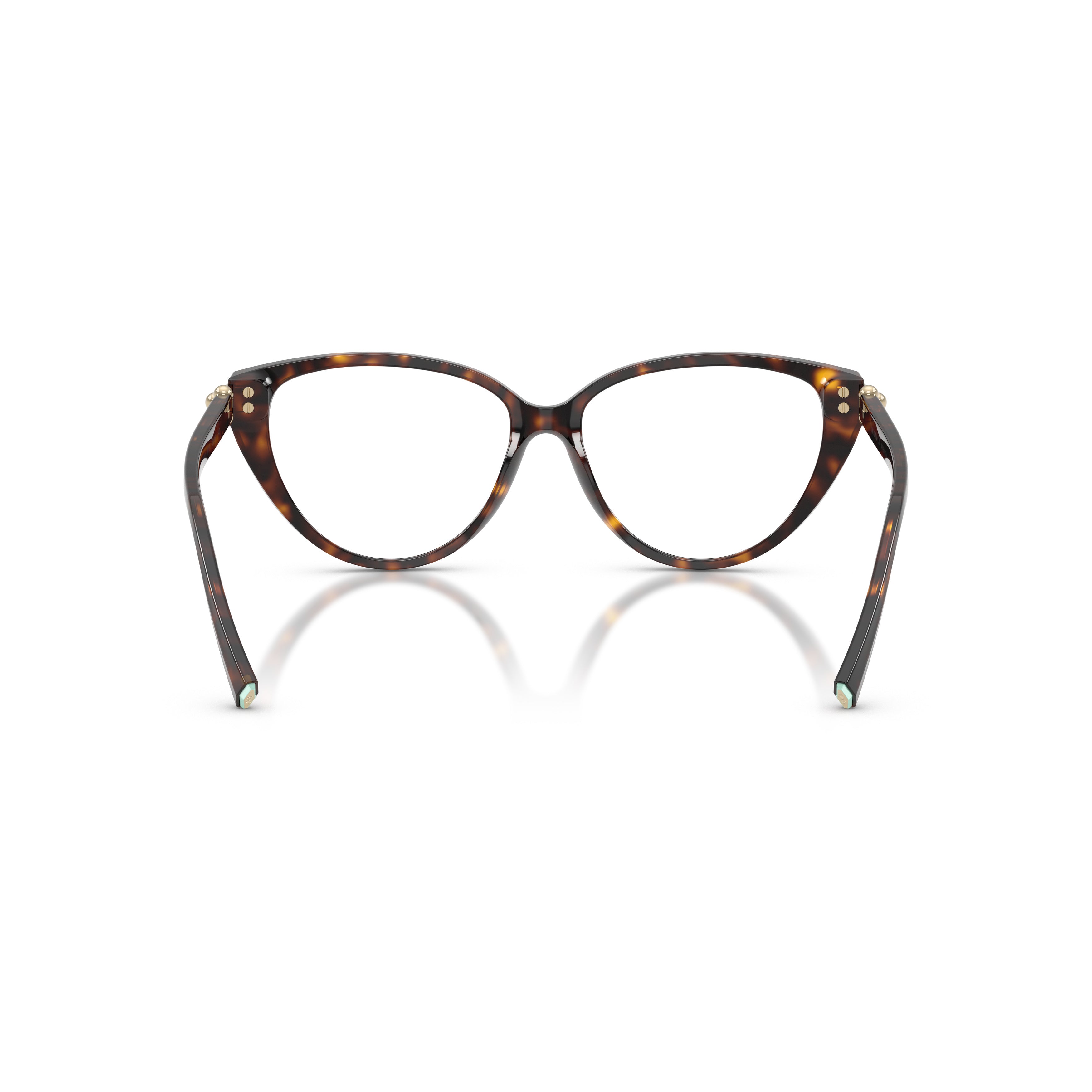 Cat-Eye Sunglasses With Tortoiseshell Frame And Gold Accents