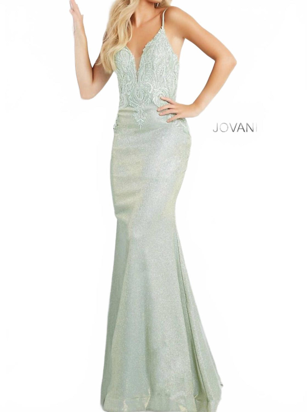 Backless Embroidered Gown In Light Green