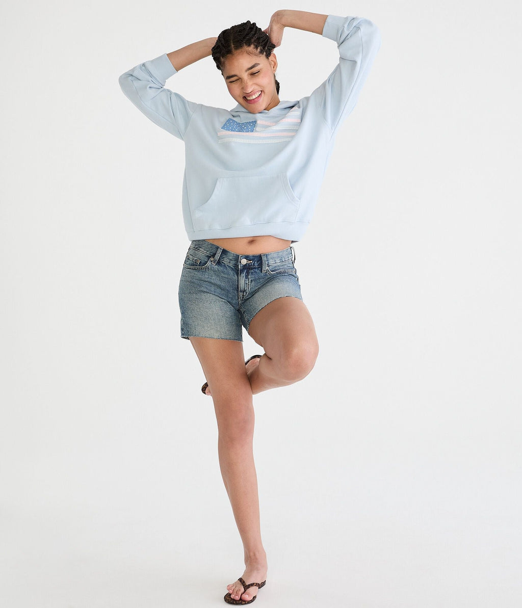 Aeropostale Cloud Soft Flag Americana Pullover Hoodie