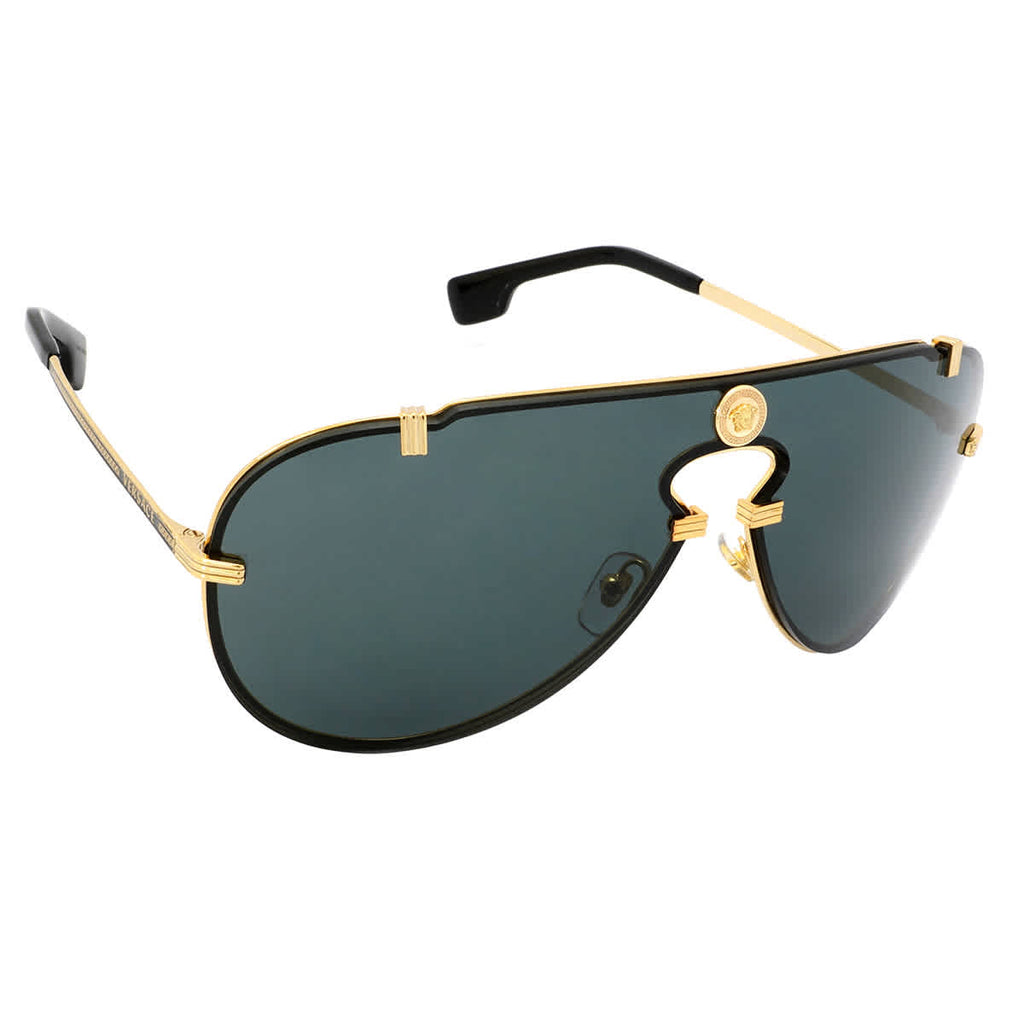 Versace Dark Gray Pilot Men's Sunglasses VE2243 100287 43