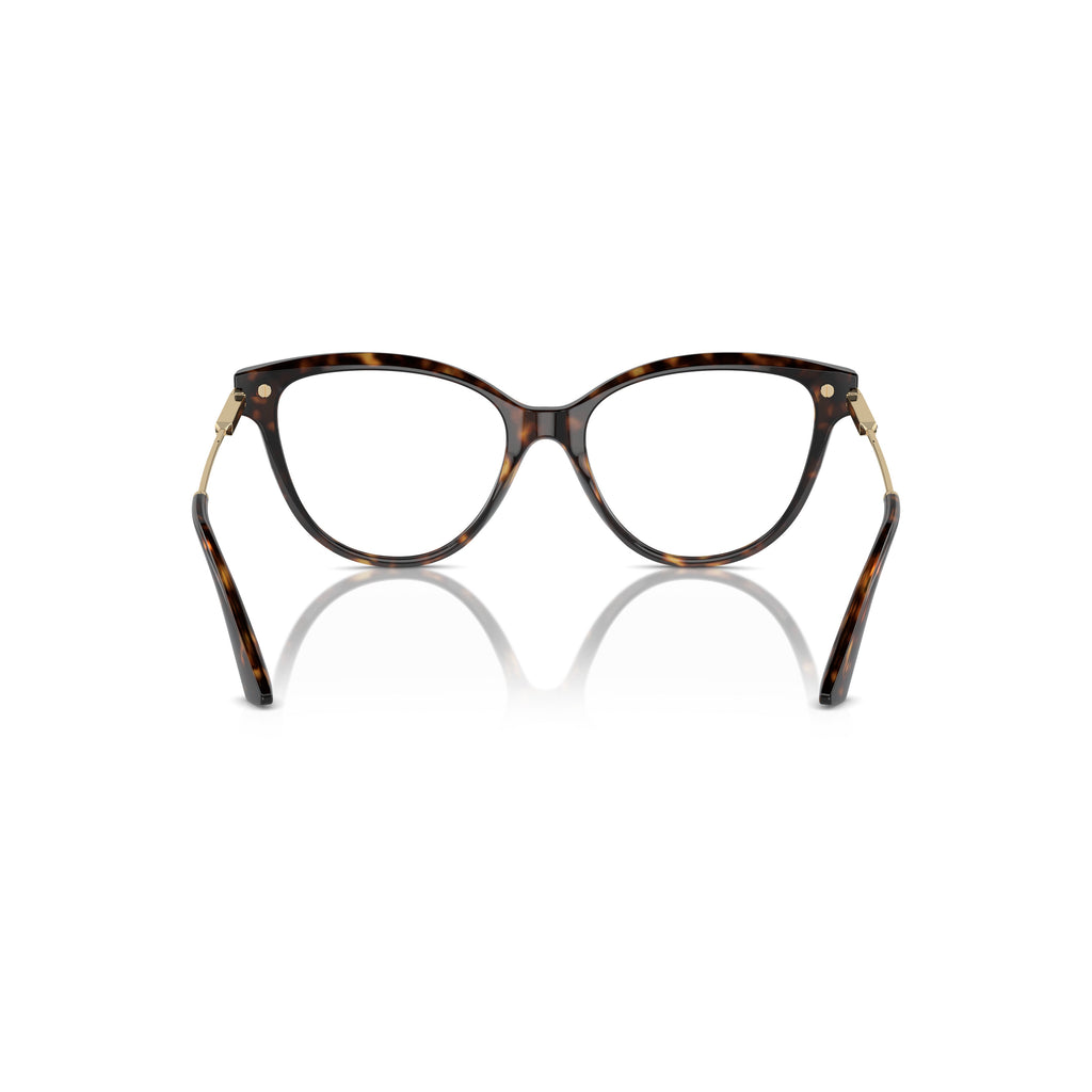 0Jc3001B Cat-Eye Acetate Eyeglasses with Metallic Gold Temples