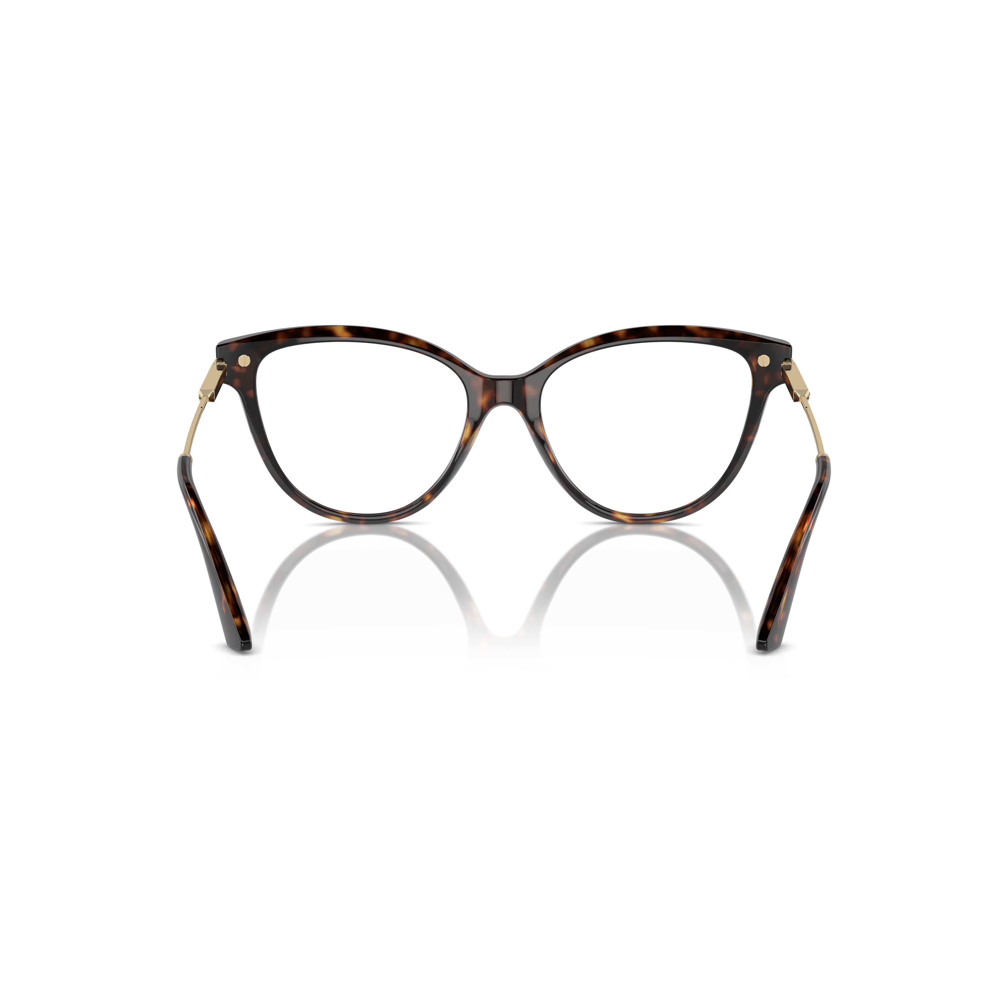 0Jc3001B Cat-Eye Acetate Eyeglasses with Metallic Gold Temples