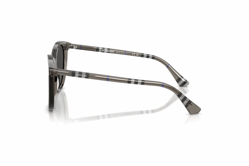Women's Oval Sunglasses In Grey