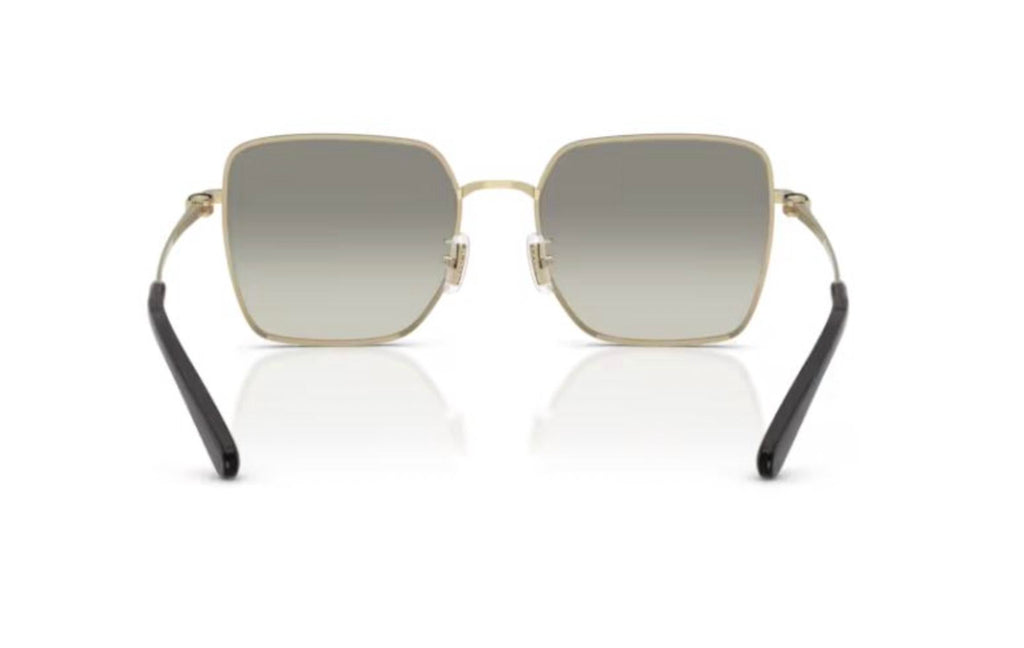 Women's Hc 7184D Sunglasses In Gold/black/grey