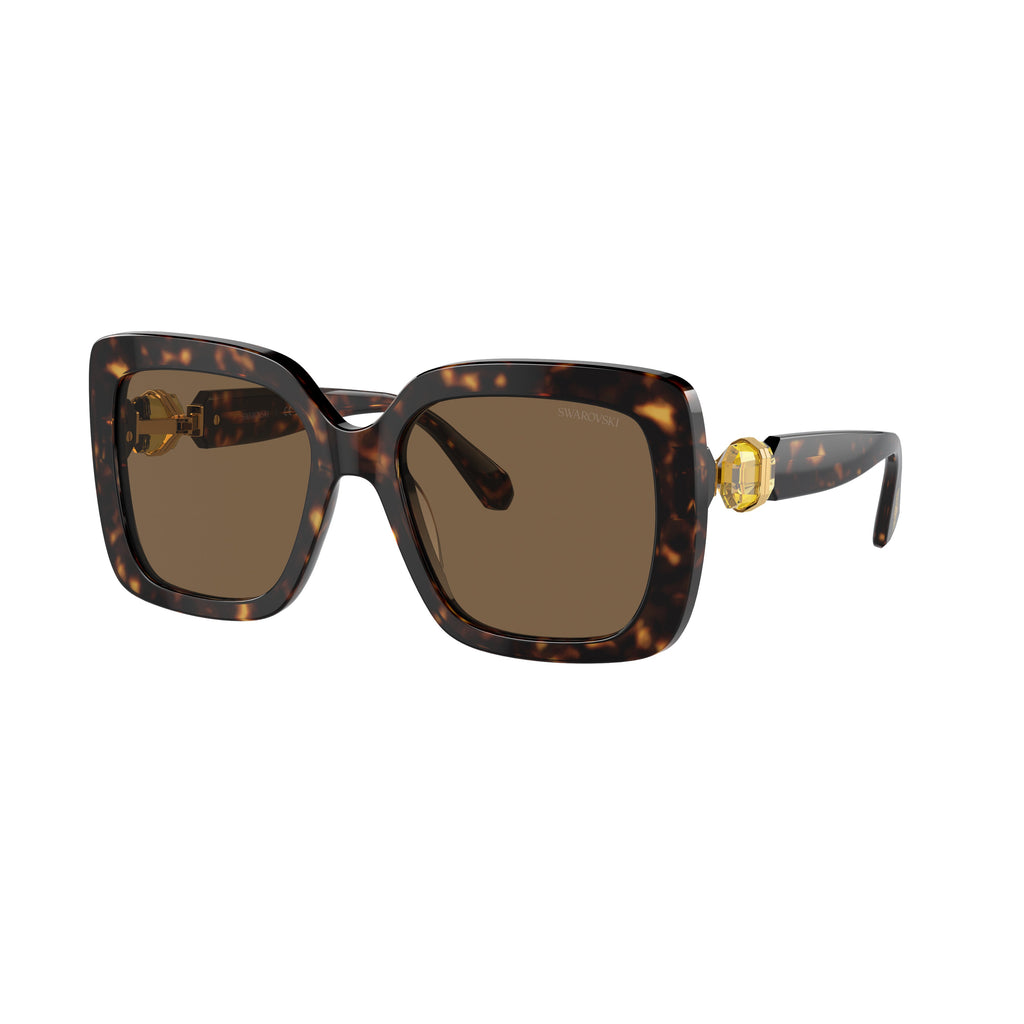 0Sk6001 Oversized Tortoiseshell Acetate Square Sunglasses with Gold Accents