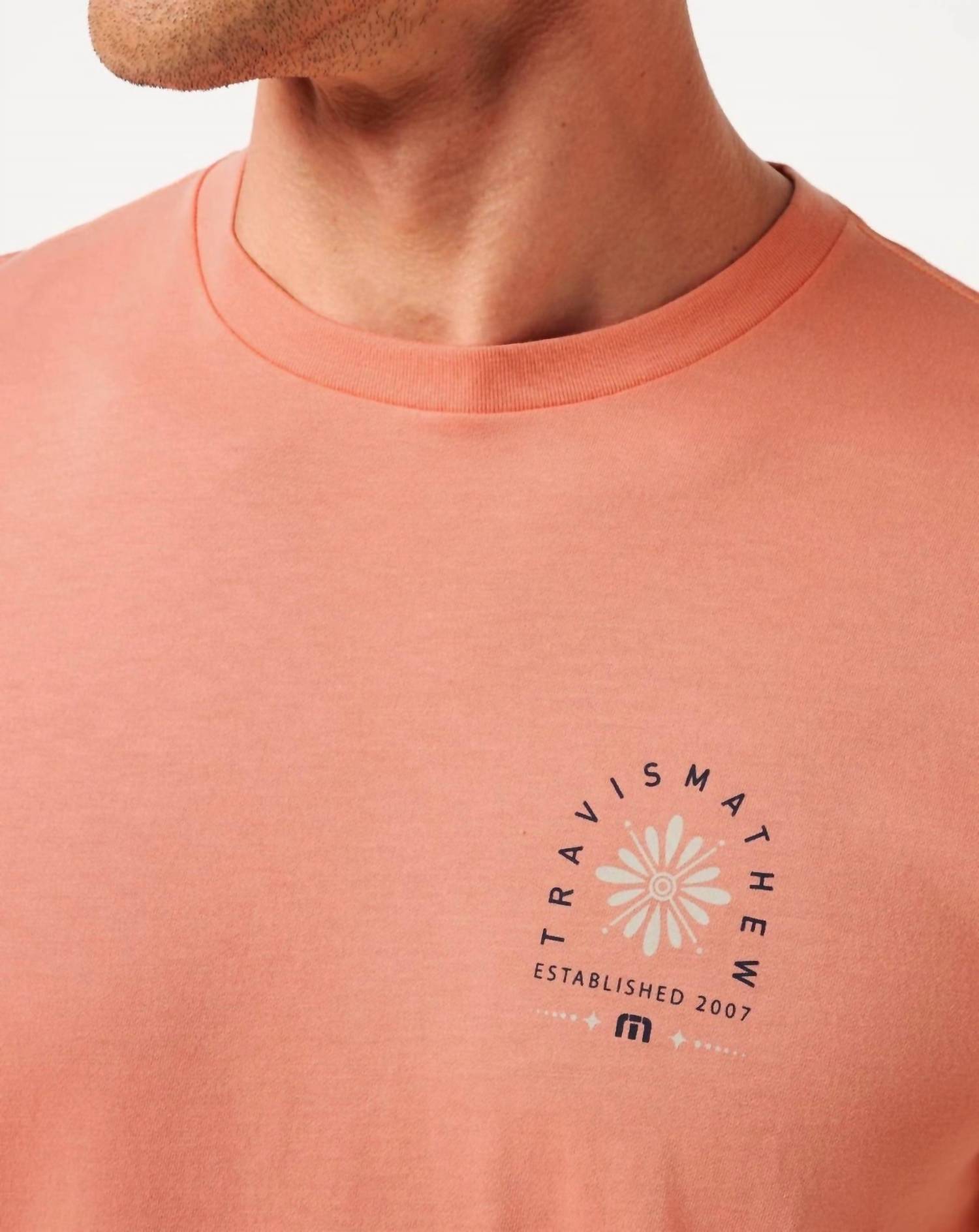 Deco Short Sleeve Tee In Terracotta