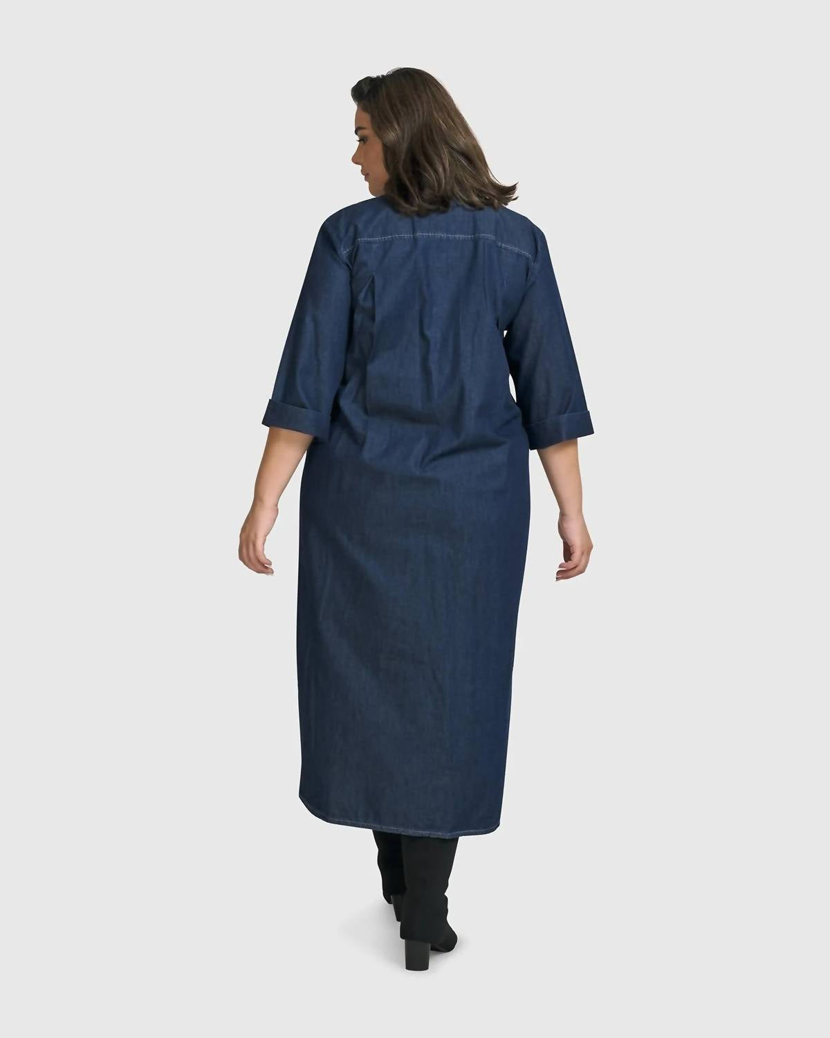 Joie Collared Dress In Denim