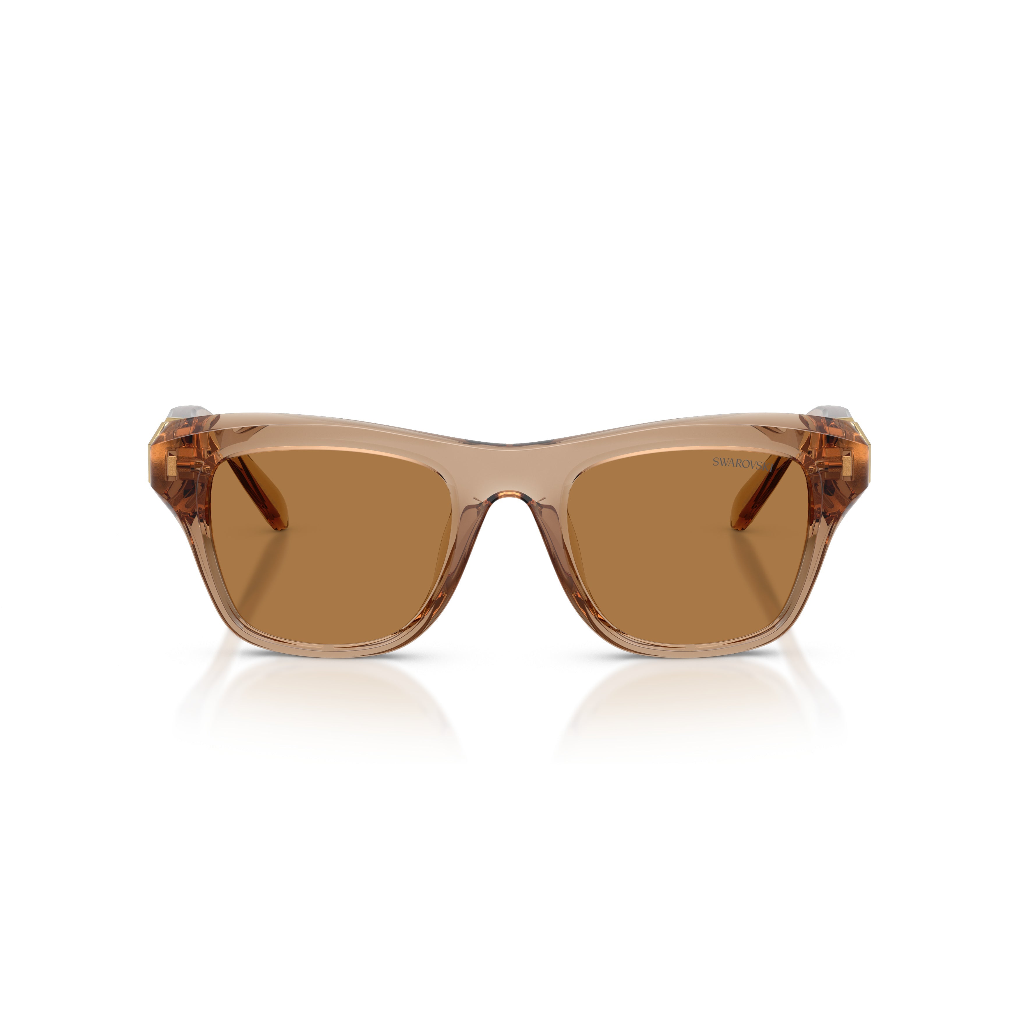 0Sk6056U Translucent Brown Square Sunglasses with Gold-Tone Accents