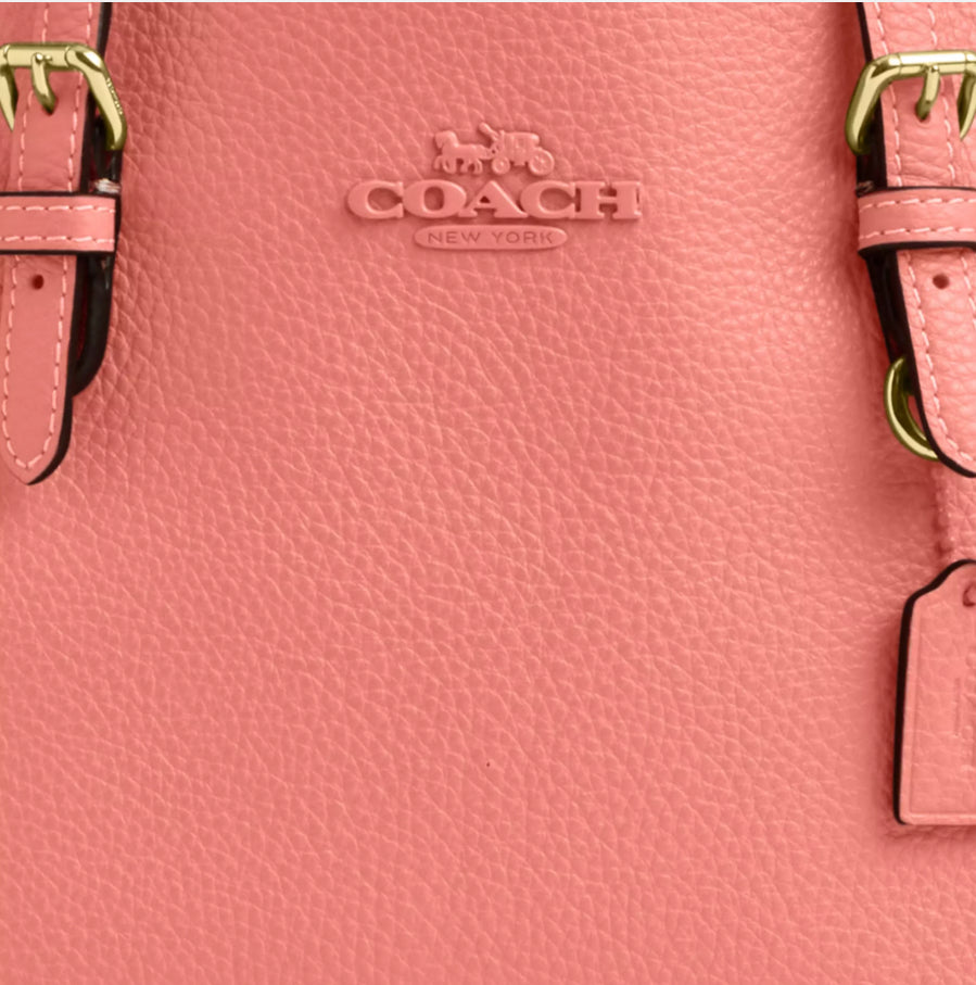 NWT Coach Leather Mollie Tote Bag 25 In Gold/Coral