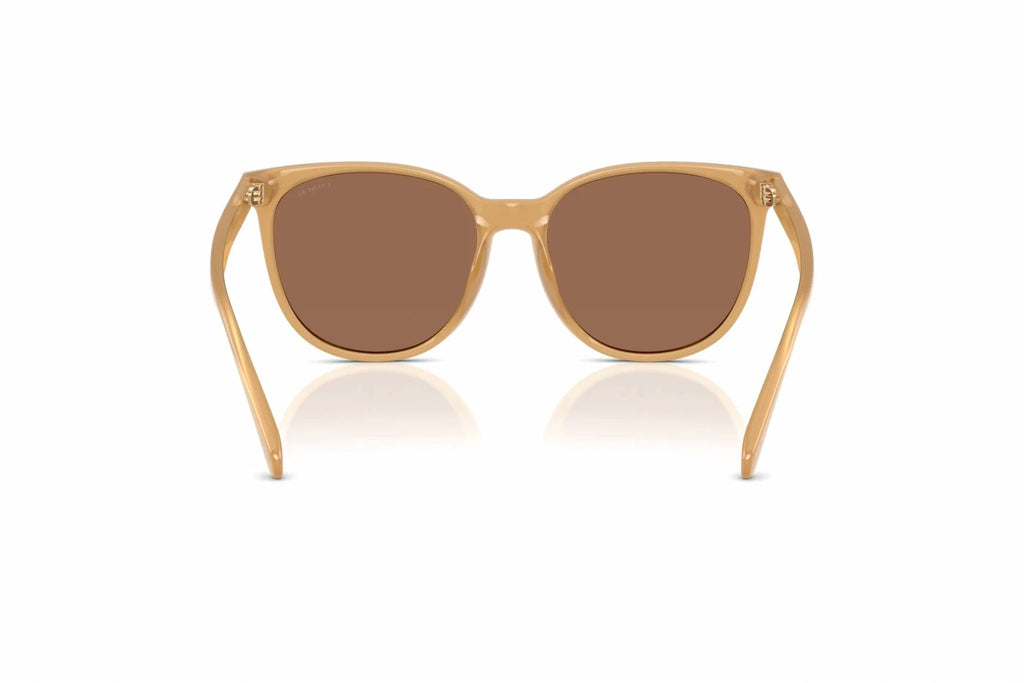 Women's Hc 8414Bd Sunglasses In Milky Tea / Brown Solid