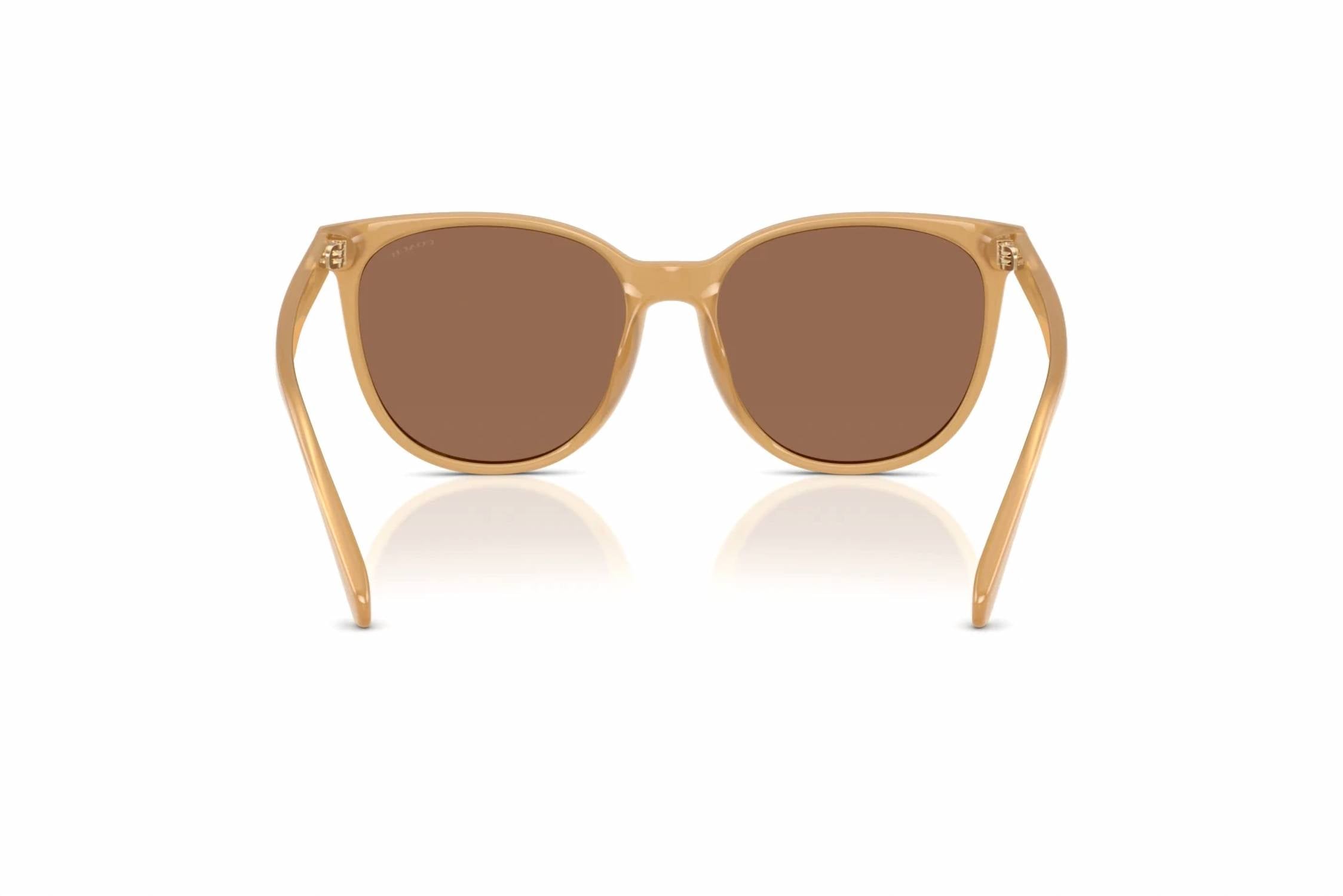 Women's Hc 8414Bd Sunglasses In Milky Tea / Brown Solid