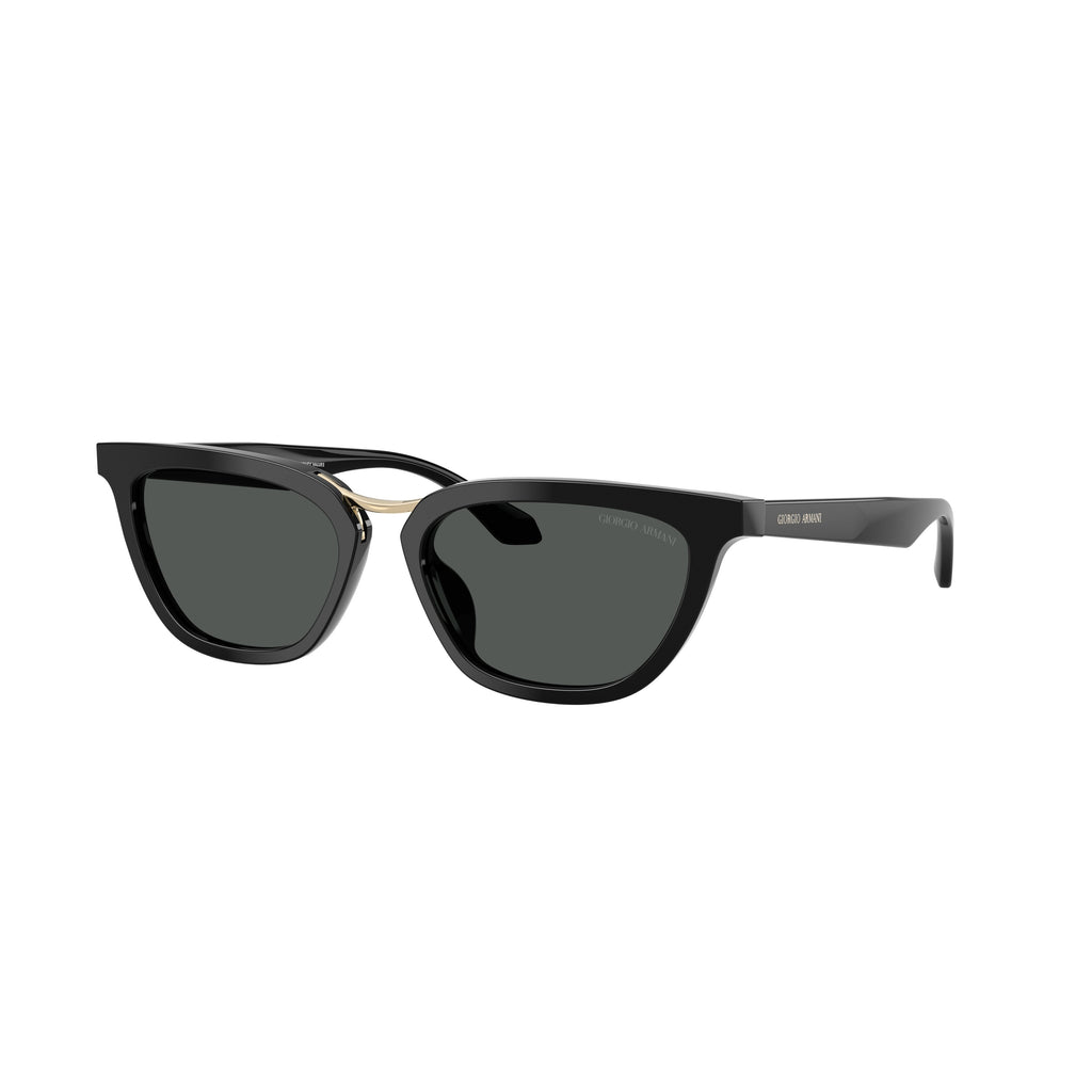 0Ar8253U Angular Acetate Sunglasses
