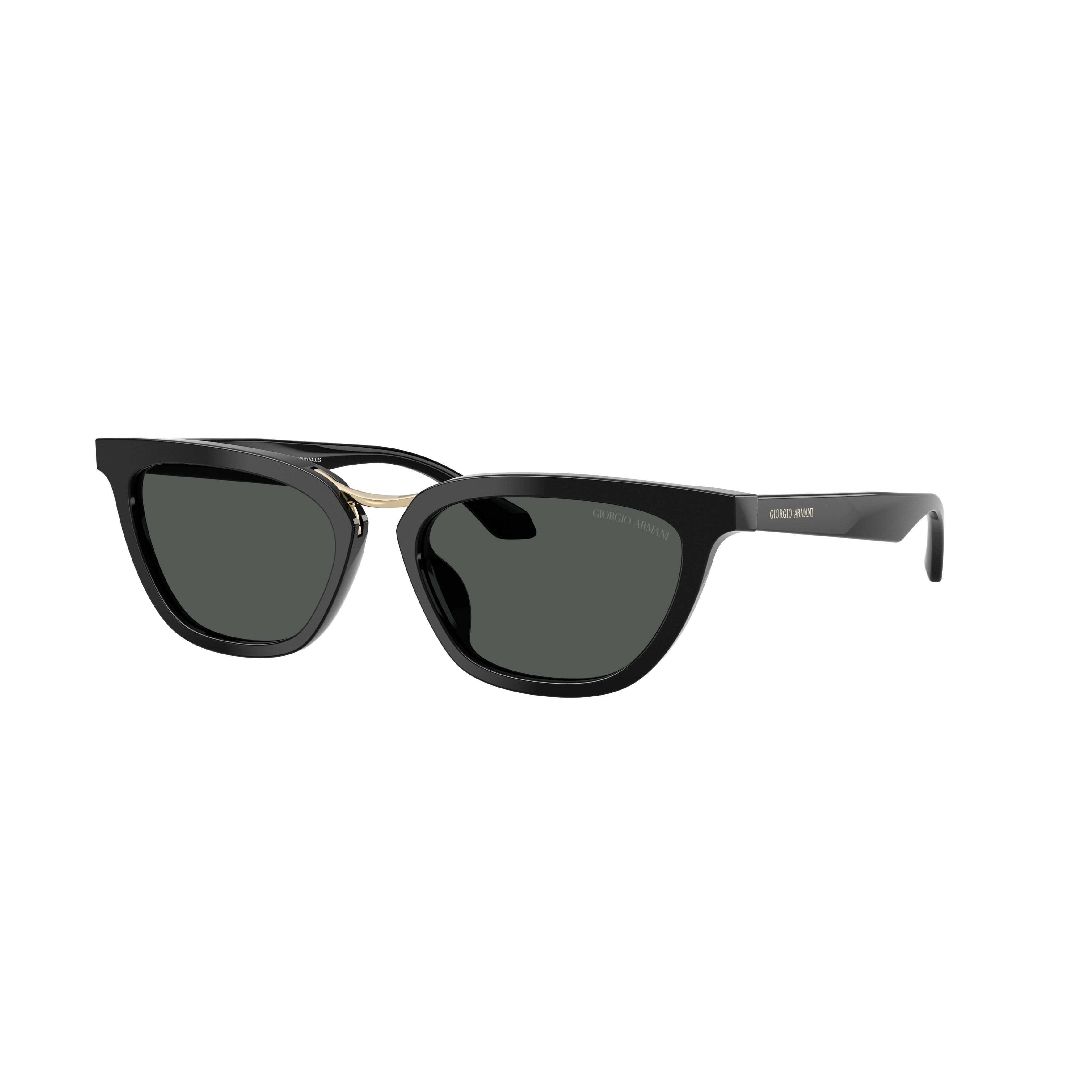 0Ar8253U Angular Acetate Sunglasses