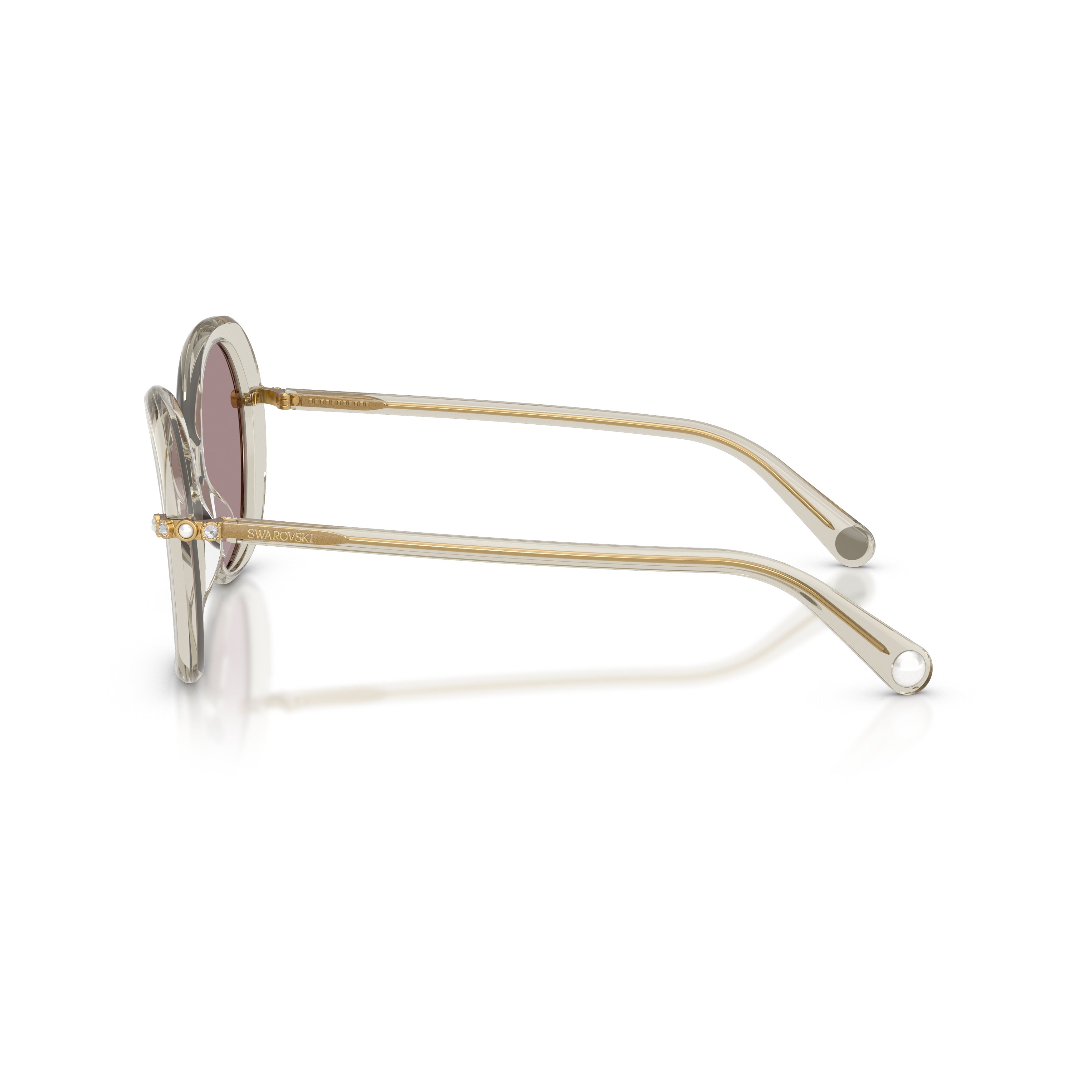0Sk6059 Large Rounded Acetate Sunglasses with Gold-Toned Temples