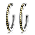 Two-Tone IP Gold (Ion Plating) Stainless Steel Earrings with Epoxy in Jet