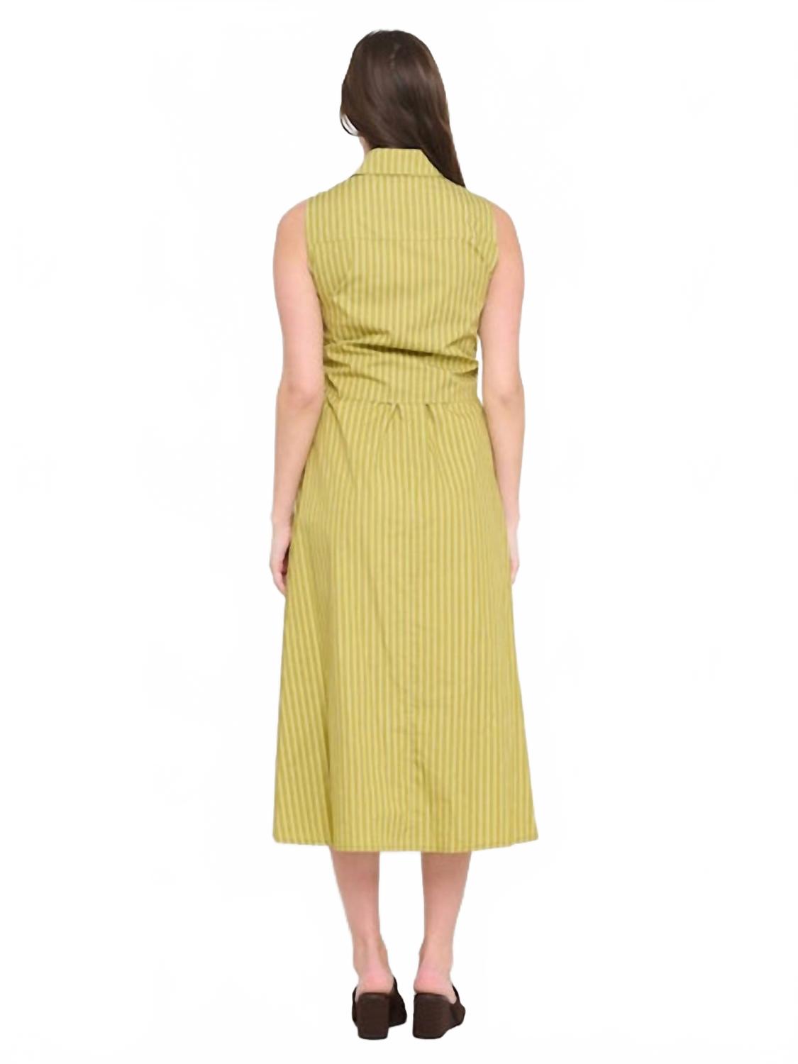 Poplin Tie Shirt Dress In Olive Stripe