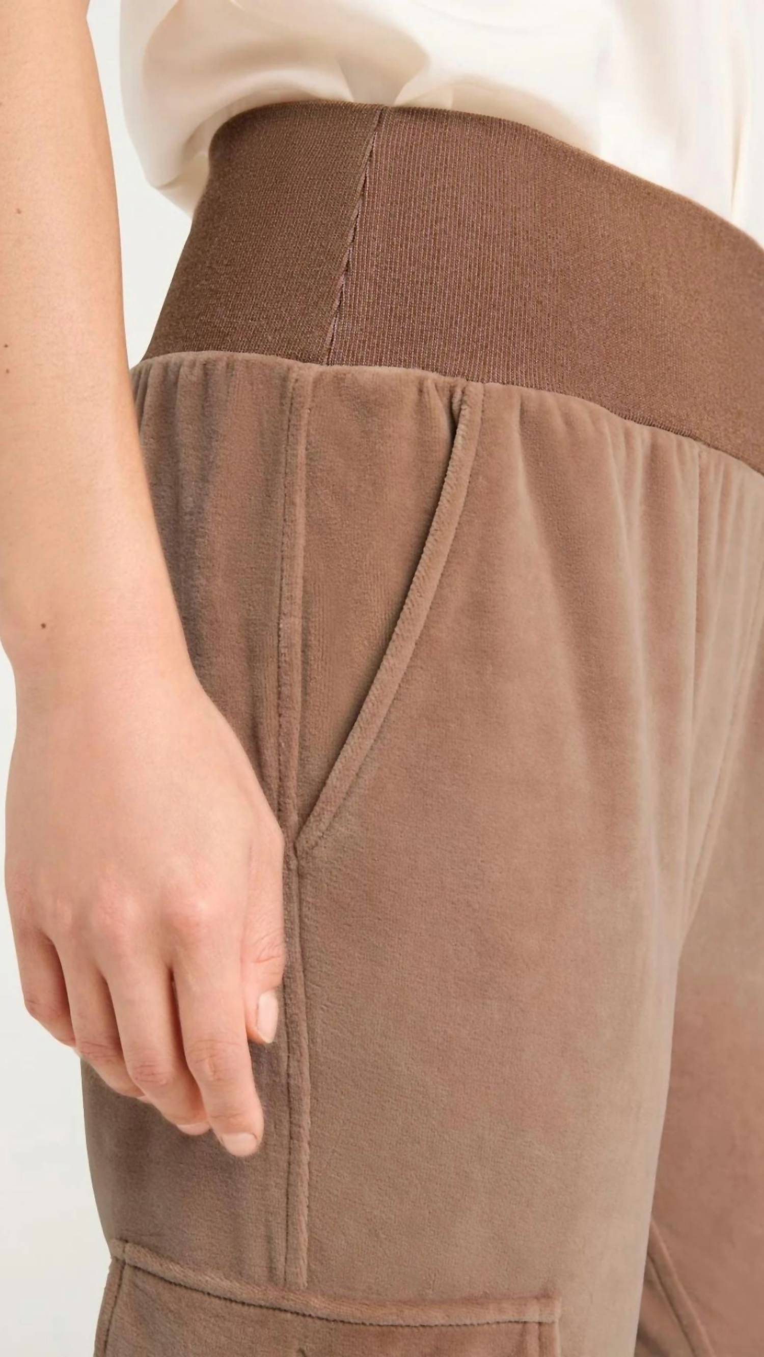 Velour Giles Pant In Mocha