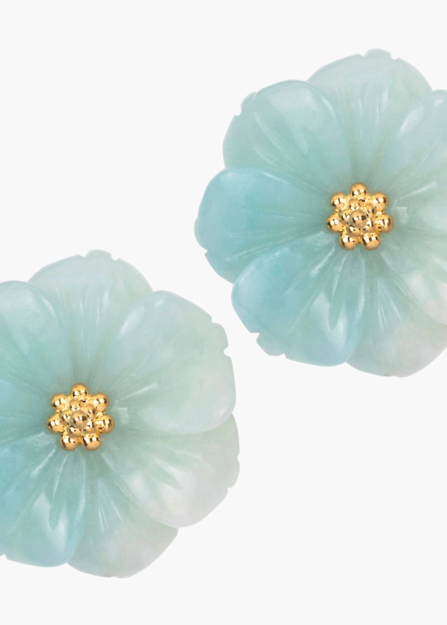 Women's Wynne Earrings In Amazonite