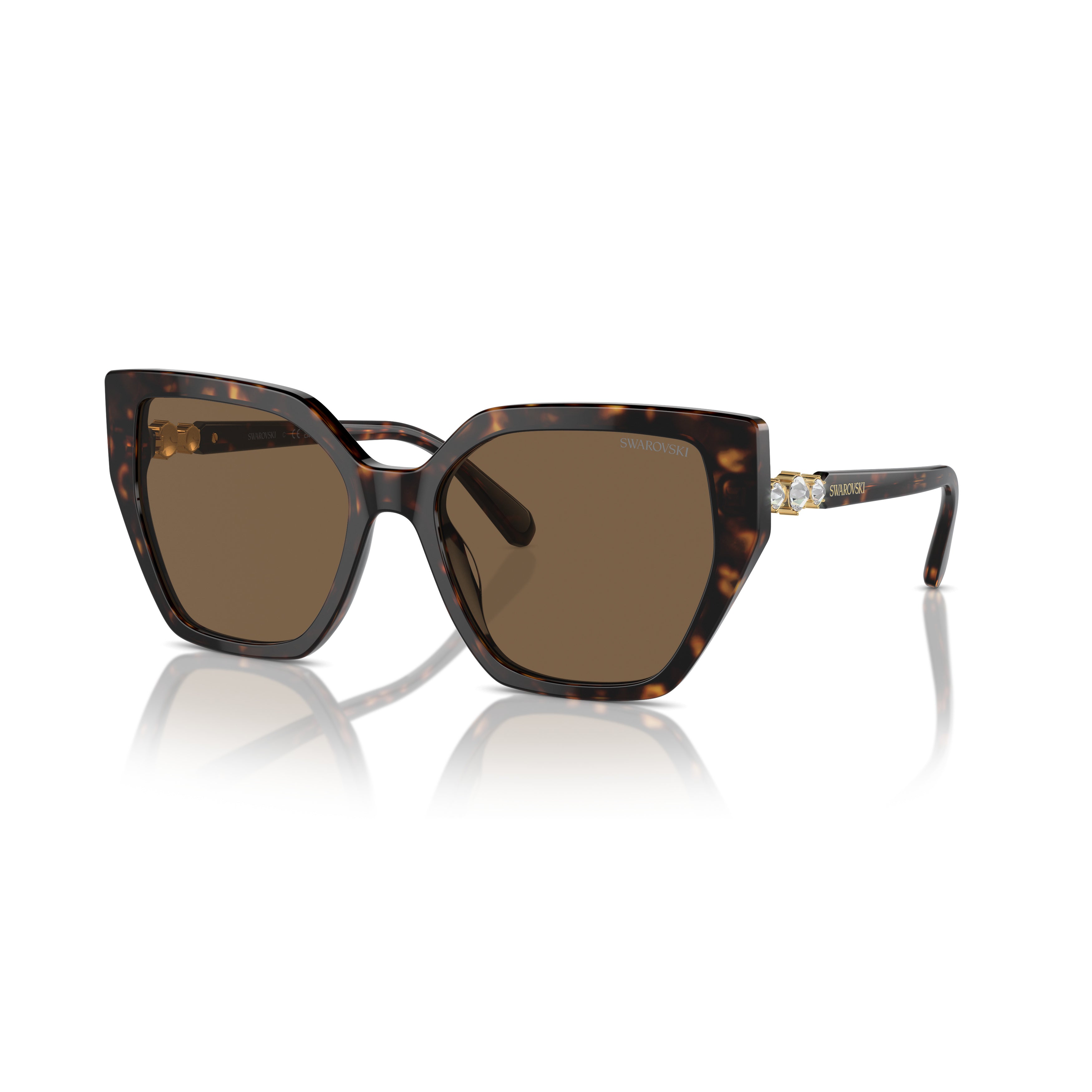 0Sk6016 Oversized Cat-Eye Sunglasses with Tortoiseshell Acetate