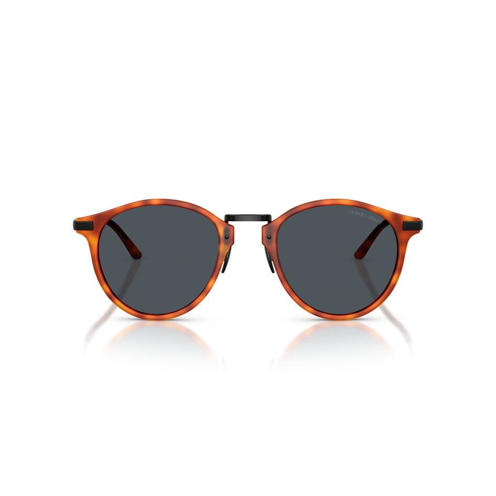 0Ar8250 Tortoiseshell Acetate Sunglasses