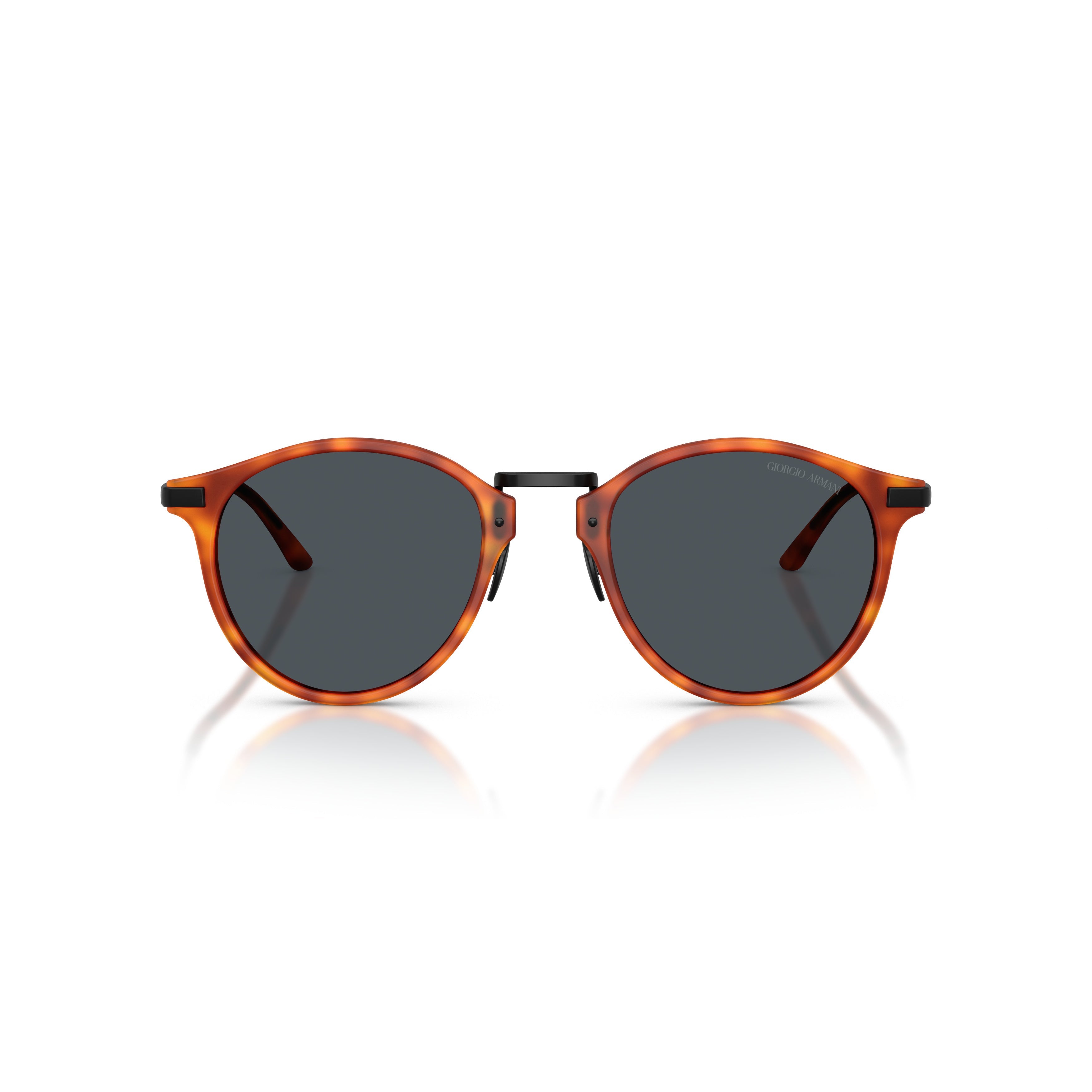 0Ar8250 Tortoiseshell Acetate Sunglasses