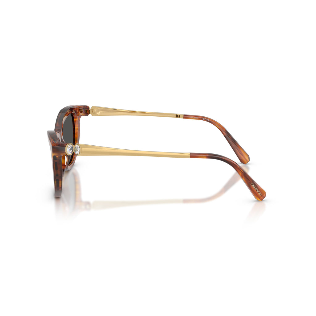 0Sk6057 Rectangular Tortoiseshell Acetate Sunglasses with Gold-tone Temples