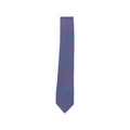 Ferragamo Blue Ties & Bow Ties Men